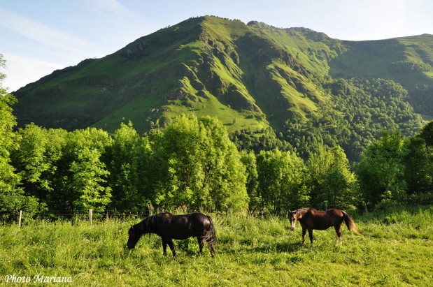 Randonnee-la-Montagne-Verte_021