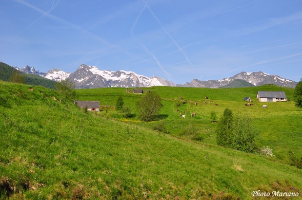 Randonnee-la-Montagne-Verte_034