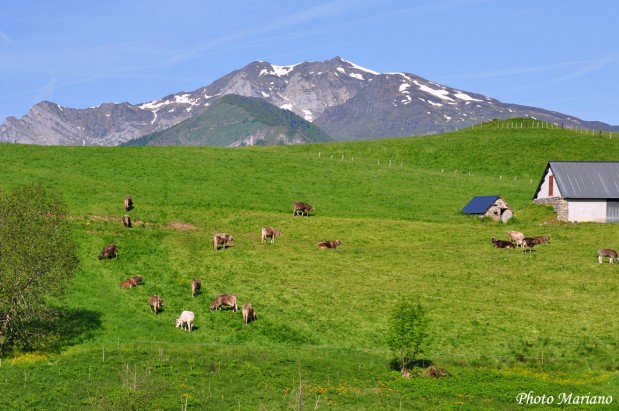 Randonnee-la-Montagne-Verte_039