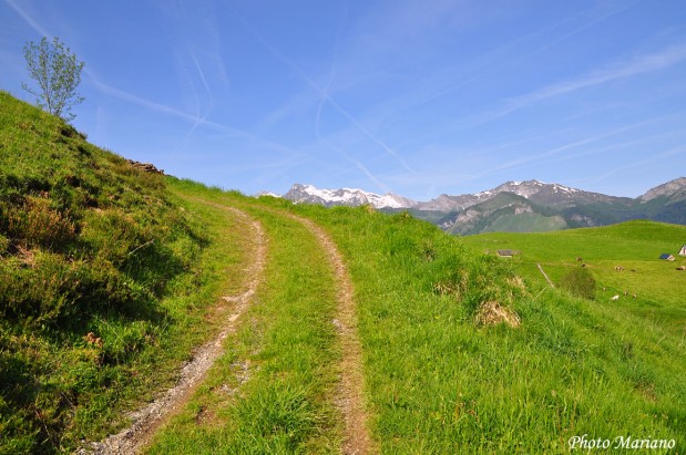 Randonnee-la-Montagne-Verte_042