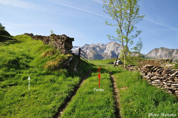 Randonnee-la-Montagne-Verte_044