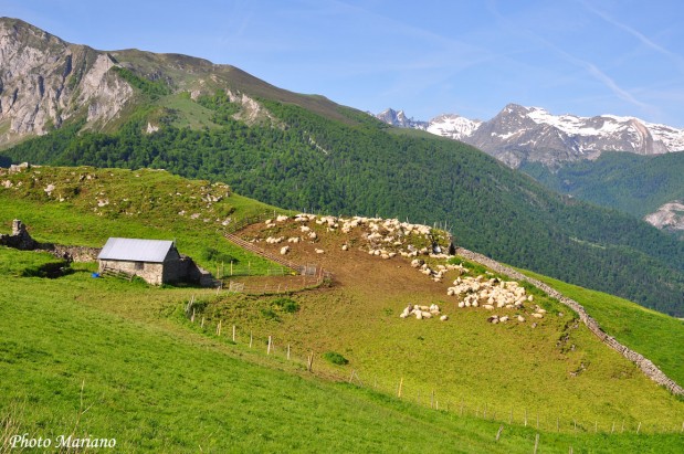 Randonnee-la-Montagne-Verte_049