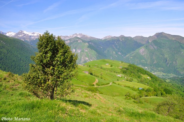 Randonnee-la-Montagne-Verte_063