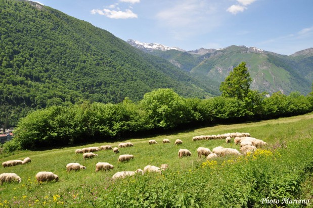 Randonnee-la-Montagne-Verte_117