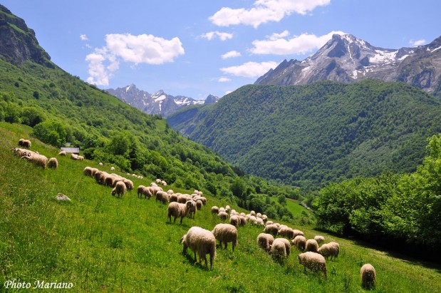 Randonnee-la-Montagne-Verte_120