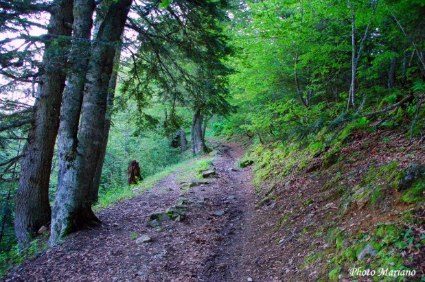 tour de l'ossau 2022 parcours