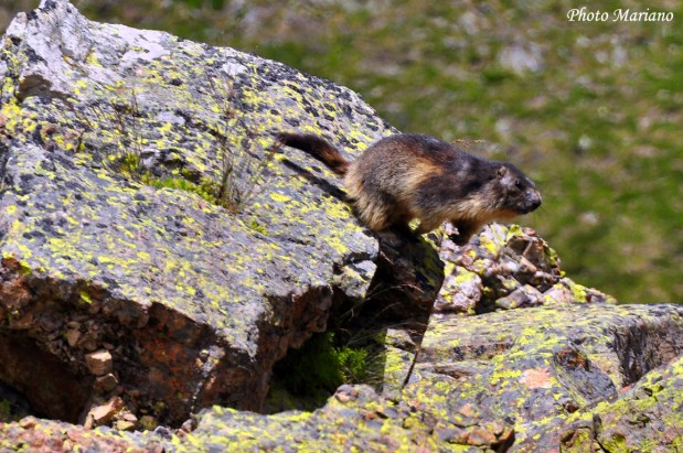 tour de l'ossau 2022 parcours