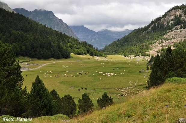 tour de l'ossau 2022 parcours