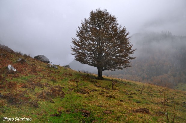 Randponnee-Pic-Ronglet-2180m_015