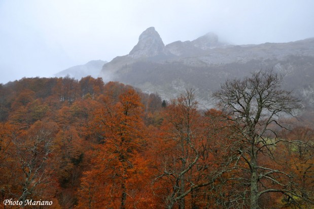 Randponnee-Pic-Ronglet-2180m_025