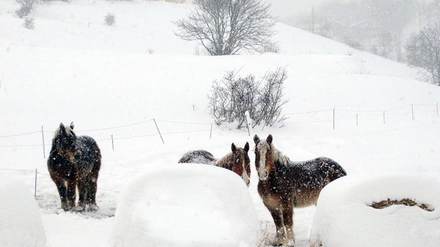 Enneigement-Pyrenees-annee-2013_004