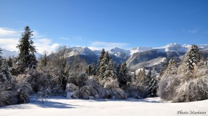 Fond-d-Ecran-Raquettes-Cabane-de-Castillou_001