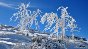 Fond-d-Ecran-Raquettes-Cabane-de-Castillou_002