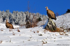 Raquettes-Cabane-Castillou-Soum-Counee_006