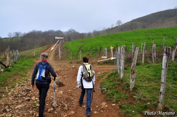 Randonnee-Mont-Ursuia-678m_010