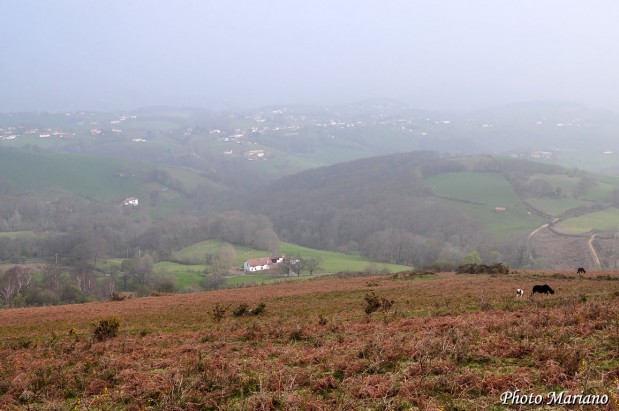 Randonnee-Mont-Ursuia-678m_017
