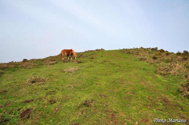 Randonnee-Mont-Ursuia-678m_021