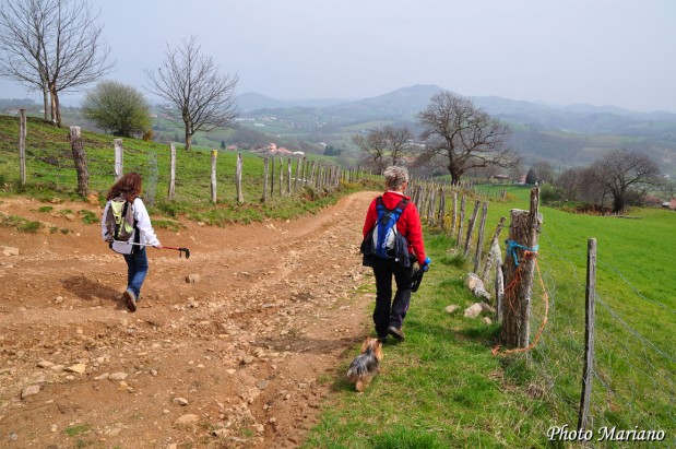 Randonnee-Mont-Ursuia-678m_069