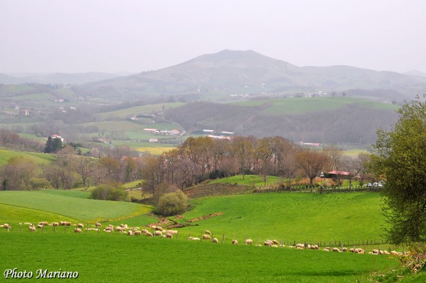 Randonnee-Mont-Ursuia-678m_071