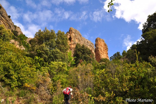 Randonnee-Pico-Boron_047