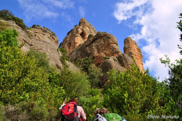 Randonnee-Pico-Boron_052