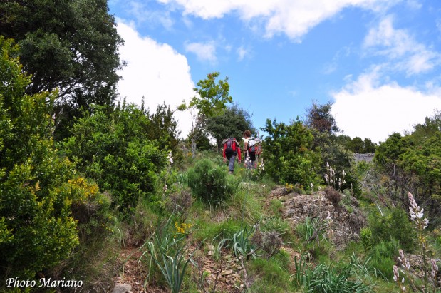 Randonnee-Pico-Boron_095