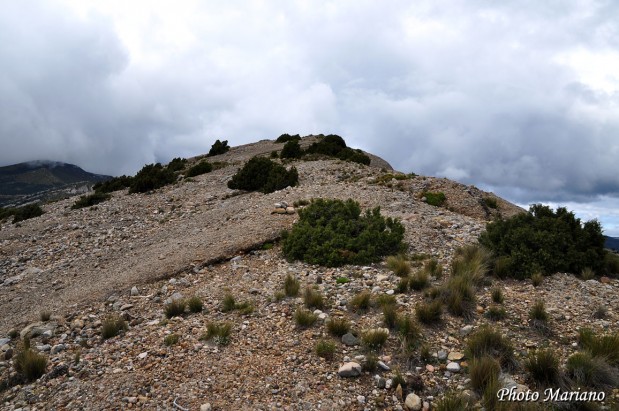 Randonnee-Pico-Boron_112