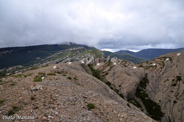 Randonnee-Pico-Boron_116