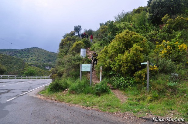 Randonnee-Pico-Boron_165