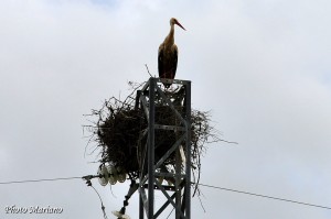 Randonnee-Ermitage-de-San-Miguel-Ayerbe_005