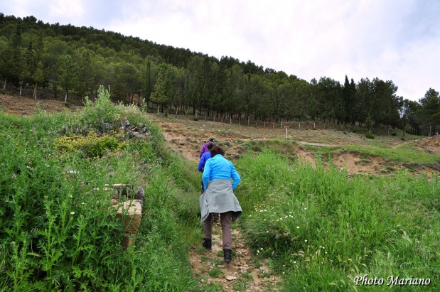 Randonnee-Ermitage-de-San-Miguel-Ayerbe_009