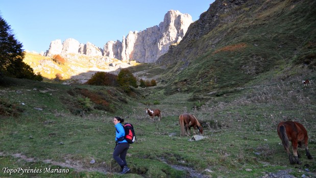 Randonnee-Orgues-de-Camplong_002