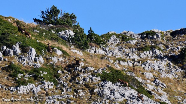 Randonnee-Orgues-de-Camplong_047