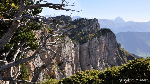 Randonnee-Orgues-de-Camplong_101