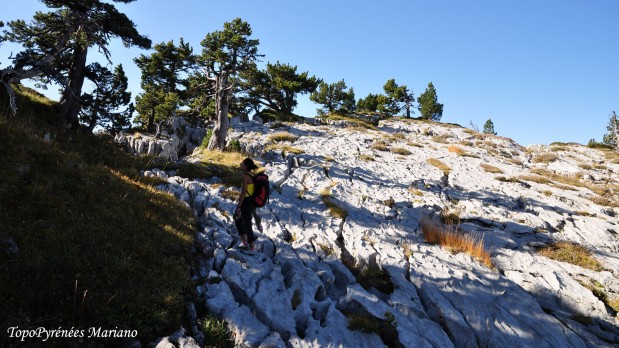 Randonnee-Orgues-de-Camplong_110
