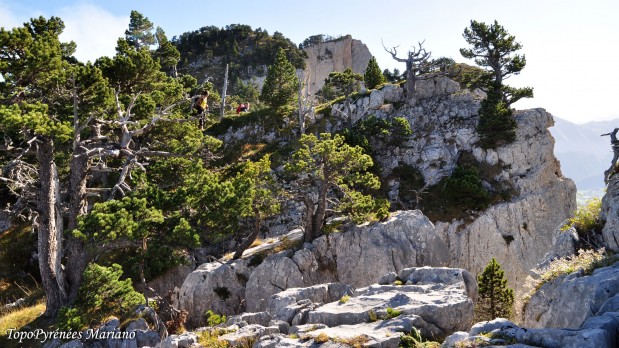 Randonnee-Orgues-de-Camplong_111