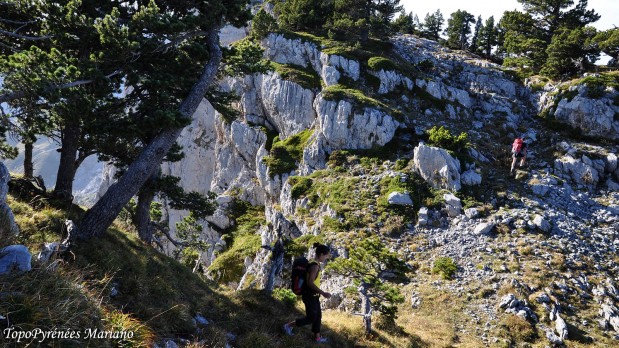 Randonnee-Orgues-de-Camplong_152