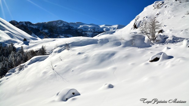 Raquettes-Cabane-d-Ibech-1443m_036