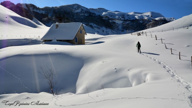 Raquettes-Cabane-d-Ibech-1443m_048
