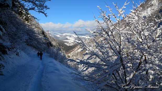 Raquettes-Cabane-d-Ibech-1443m_087