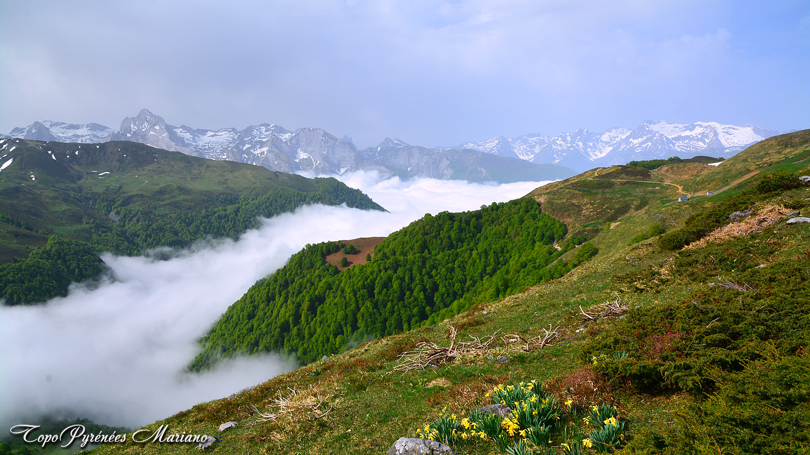 Randonnee Col De Louvie 1438m En Boucle Les Topos Pyrenees Par Mariano