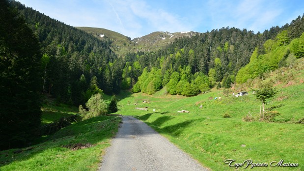 Randonnee-La-Peyre-1821m_005
