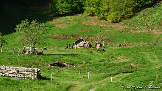 Randonnee-La-Peyre-1821m_006
