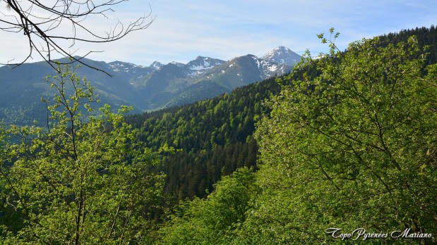 Randonnee-La-Peyre-1821m_008