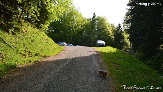 Randonnee-La-Peyre-1821m_009