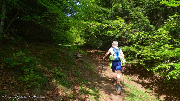 Randonnee-La-Peyre-1821m_011