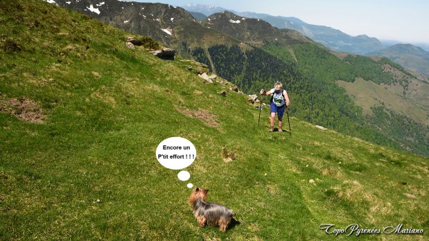 Randonnee-La-Peyre-1821m_040