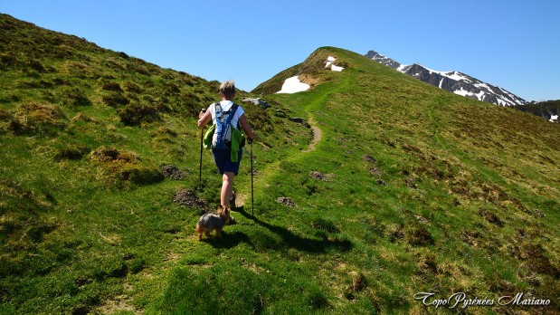 Randonnee-La-Peyre-1821m_048