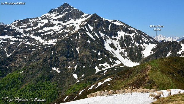 Randonnee-La-Peyre-1821m_063