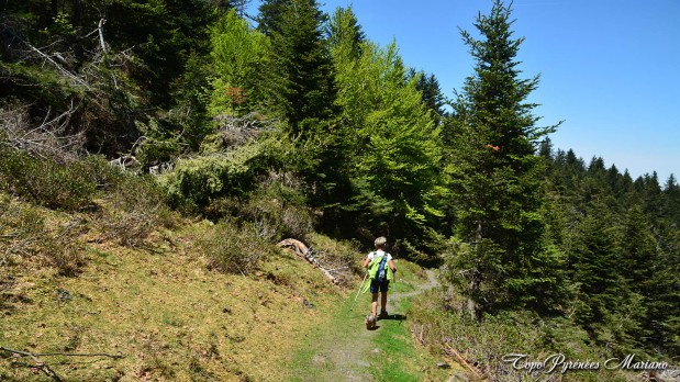 Randonnee-La-Peyre-1821m_097